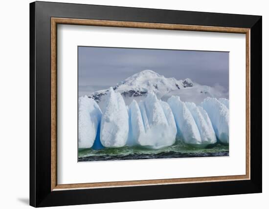 Wind and Water Sculpted Iceberg in Orne Harbor, Antarctica, Polar Regions-Michael Nolan-Framed Photographic Print