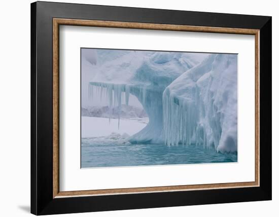 Wind and Water Sculpted Iceberg with Icicles at Booth Island, Antarctica, Polar Regions-Michael Nolan-Framed Photographic Print