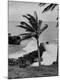 Photographic Print