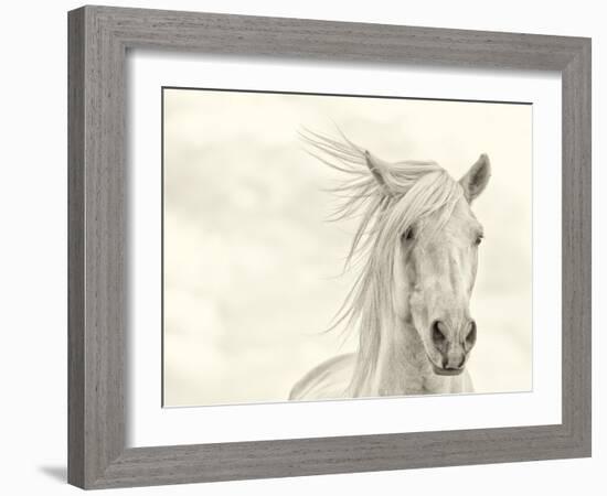 Wind Blown Mane I-PHBurchett-Framed Art Print