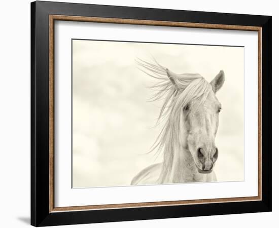 Wind Blown Mane I-PHBurchett-Framed Art Print