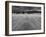 Wind Blown Sand on a Beach-Katrin Adam-Framed Photographic Print