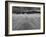 Wind Blown Sand on a Beach-Katrin Adam-Framed Photographic Print