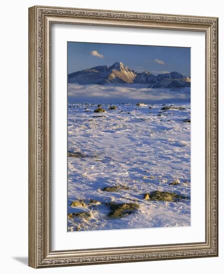 Wind-Blown Snow and Longs Peak, Rocky Mountain National Park, Colorado, USA-Scott T. Smith-Framed Photographic Print