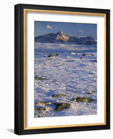 Wind-Blown Snow and Longs Peak, Rocky Mountain National Park, Colorado, USA-Scott T. Smith-Framed Photographic Print