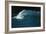 Wind-blown Wave Breaking In Hawaii-Brad Lewis-Framed Photographic Print