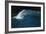 Wind-blown Wave Breaking In Hawaii-Brad Lewis-Framed Photographic Print