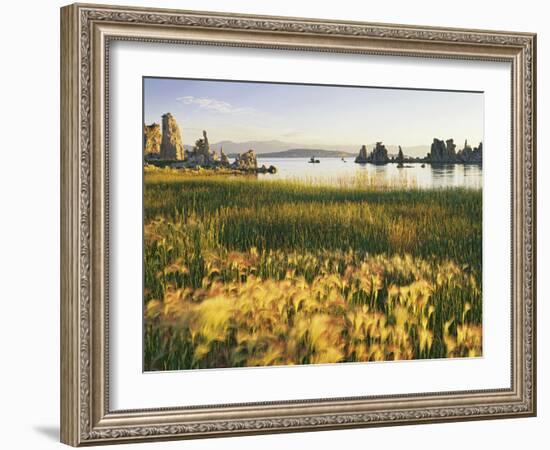 Wind Blows Squirrel-Tail Barley Next to Mono Lake with Tufas, California, USA-Dennis Flaherty-Framed Photographic Print