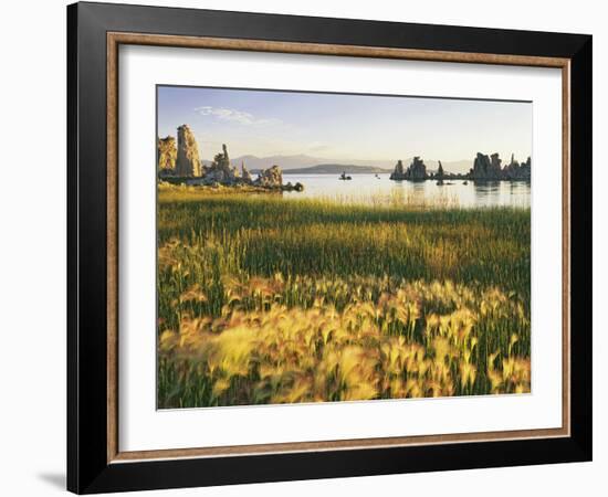 Wind Blows Squirrel-Tail Barley Next to Mono Lake with Tufas, California, USA-Dennis Flaherty-Framed Photographic Print