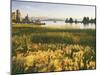 Wind Blows Squirrel-Tail Barley Next to Mono Lake with Tufas, California, USA-Dennis Flaherty-Mounted Photographic Print