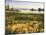 Wind Blows Squirrel-Tail Barley Next to Mono Lake with Tufas, California, USA-Dennis Flaherty-Mounted Photographic Print