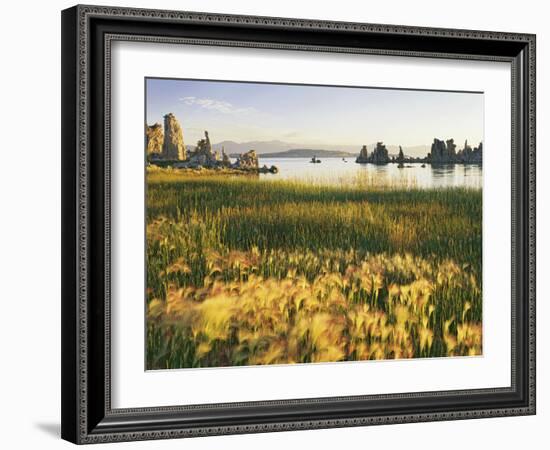 Wind Blows Squirrel-Tail Barley Next to Mono Lake with Tufas, California, USA-Dennis Flaherty-Framed Photographic Print