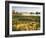 Wind Blows Squirrel-Tail Barley Next to Mono Lake with Tufas, California, USA-Dennis Flaherty-Framed Photographic Print