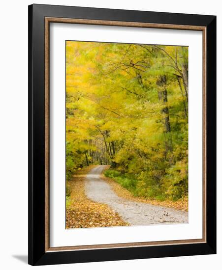 Wind Blurs the Fall Colors Along Kelly Stand Road, Vermont, Usa-Jerry & Marcy Monkman-Framed Photographic Print