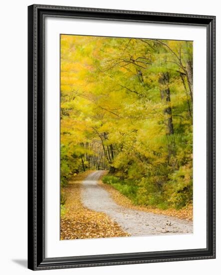 Wind Blurs the Fall Colors Along Kelly Stand Road, Vermont, Usa-Jerry & Marcy Monkman-Framed Photographic Print