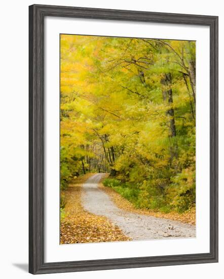 Wind Blurs the Fall Colors Along Kelly Stand Road, Vermont, Usa-Jerry & Marcy Monkman-Framed Photographic Print