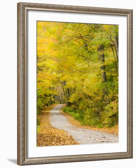 Wind Blurs the Fall Colors Along Kelly Stand Road, Vermont, Usa-Jerry & Marcy Monkman-Framed Photographic Print