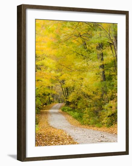 Wind Blurs the Fall Colors Along Kelly Stand Road, Vermont, Usa-Jerry & Marcy Monkman-Framed Photographic Print