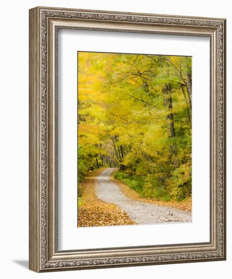 Wind Blurs the Fall Colors Along Kelly Stand Road, Vermont, Usa-Jerry & Marcy Monkman-Framed Photographic Print