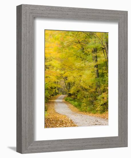 Wind Blurs the Fall Colors Along Kelly Stand Road, Vermont, Usa-Jerry & Marcy Monkman-Framed Photographic Print