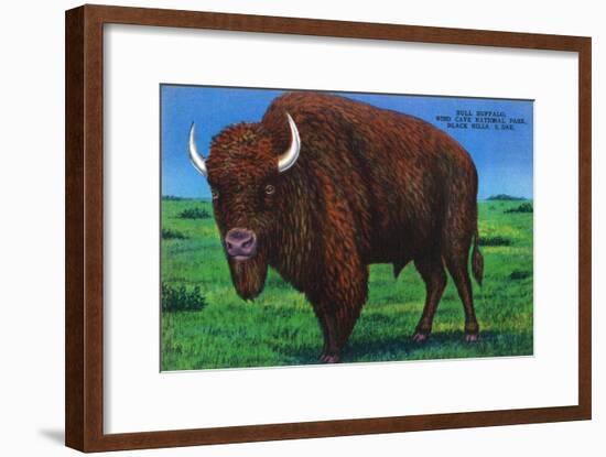 Wind Cave Nat'l Park, South Dakota - Bull Buffalo in Black Hills-Lantern Press-Framed Art Print