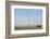 Wind Farm, Vega, Texas-Paul Souders-Framed Photographic Print