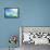 Wind flower-Jacky Parker-Framed Premier Image Canvas displayed on a wall