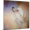 Wind in Her Hair Chinese Crested-Jai Johnson-Mounted Giclee Print