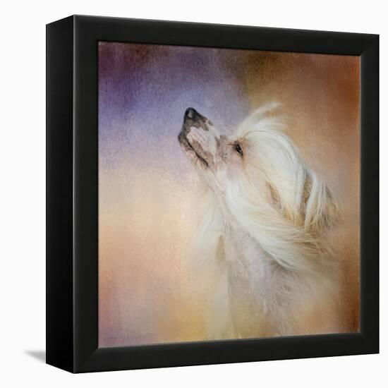 Wind in Her Hair Chinese Crested-Jai Johnson-Framed Premier Image Canvas