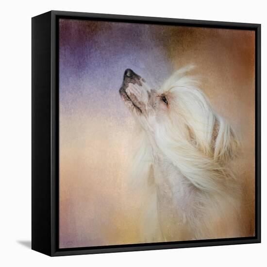 Wind in Her Hair Chinese Crested-Jai Johnson-Framed Premier Image Canvas