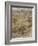 Wind in the Willows-Arthur Rackham-Framed Photographic Print