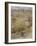 Wind in the Willows-Arthur Rackham-Framed Photographic Print