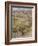 Wind in the Willows-Arthur Rackham-Framed Photographic Print