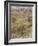 Wind in the Willows-Arthur Rackham-Framed Photographic Print