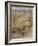 Wind in the Willows-Arthur Rackham-Framed Photographic Print