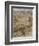 Wind in the Willows-Arthur Rackham-Framed Photographic Print