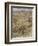 Wind in the Willows-Arthur Rackham-Framed Photographic Print