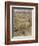 Wind in the Willows-Arthur Rackham-Framed Photographic Print