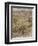 Wind in the Willows-Arthur Rackham-Framed Photographic Print