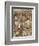 Wind in the Willows-Arthur Rackham-Framed Photographic Print