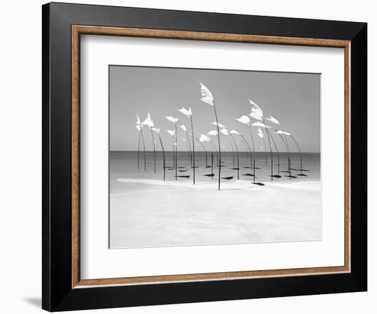 Wind-Installation I, 2015-Jaschi Klein-Framed Photographic Print