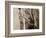 Wind Knots-Lisa Dearing-Framed Photographic Print