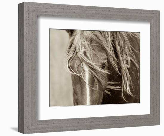 Wind Knots-Lisa Dearing-Framed Photographic Print