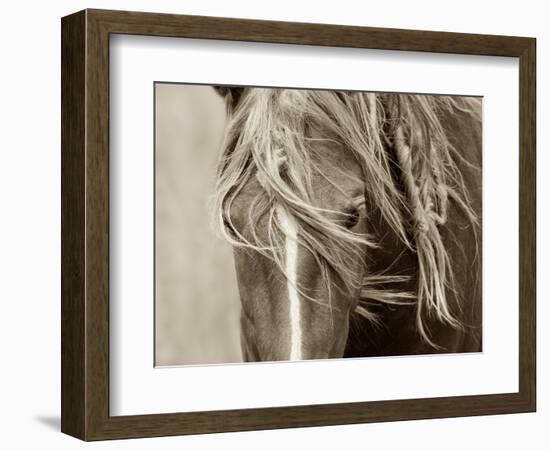 Wind Knots-Lisa Dearing-Framed Photographic Print