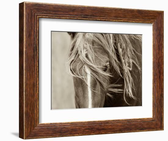 Wind Knots-Lisa Dearing-Framed Photographic Print