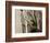 Wind Knots-Lisa Dearing-Framed Photographic Print