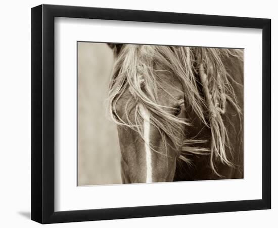 Wind Knots-Lisa Dearing-Framed Photographic Print