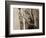 Wind Knots-Lisa Dearing-Framed Photographic Print