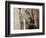 Wind Knots-Lisa Dearing-Framed Photographic Print