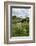 Wind Pump, Charlock (Sinapis Arvensis) Flowering in the Foreground, Wicken Fen, Cambridgeshire, UK-Terry Whittaker-Framed Photographic Print